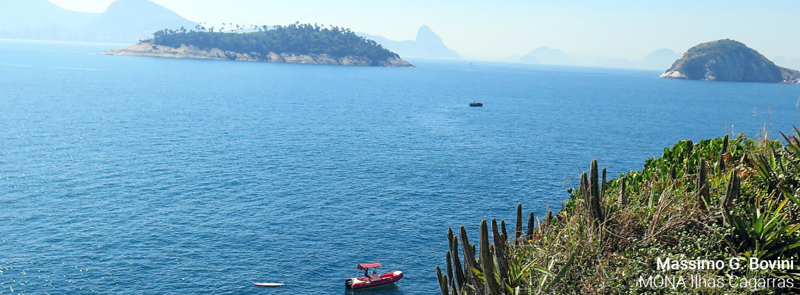 Monumento Natural do Arquipélago das Ilhas Cagarras